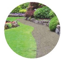 AAAA